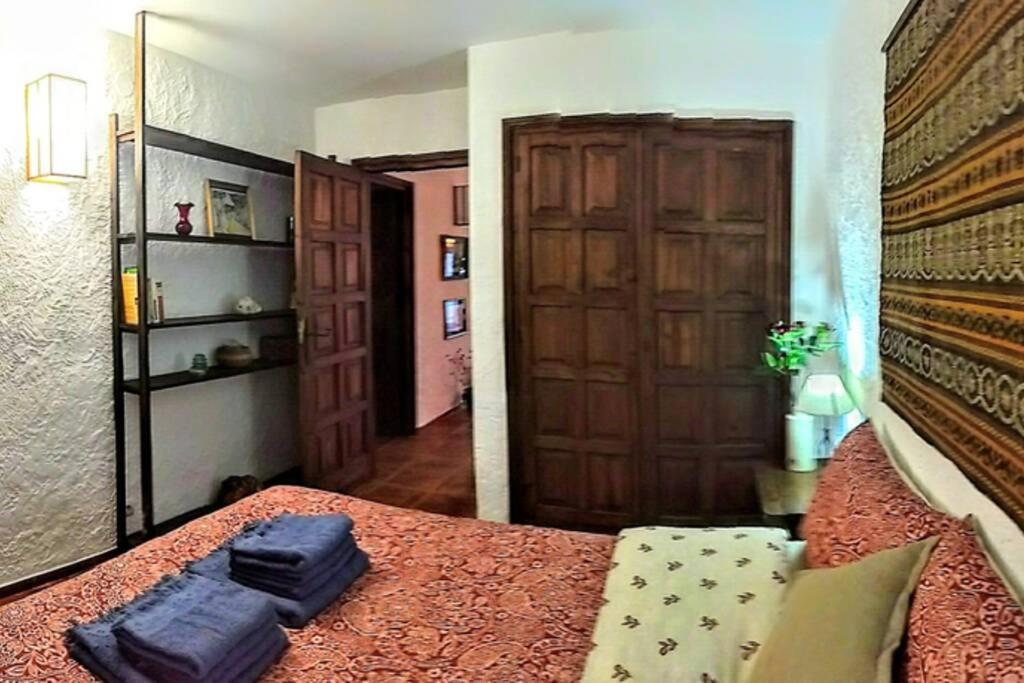 شقة Beachfront Apt! Ac - Pool - Parking ألتيا المظهر الخارجي الصورة